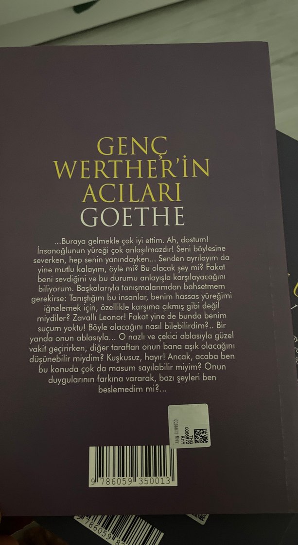 Tolstoy ve Goethe Klasikleri Seti - Görsel 2