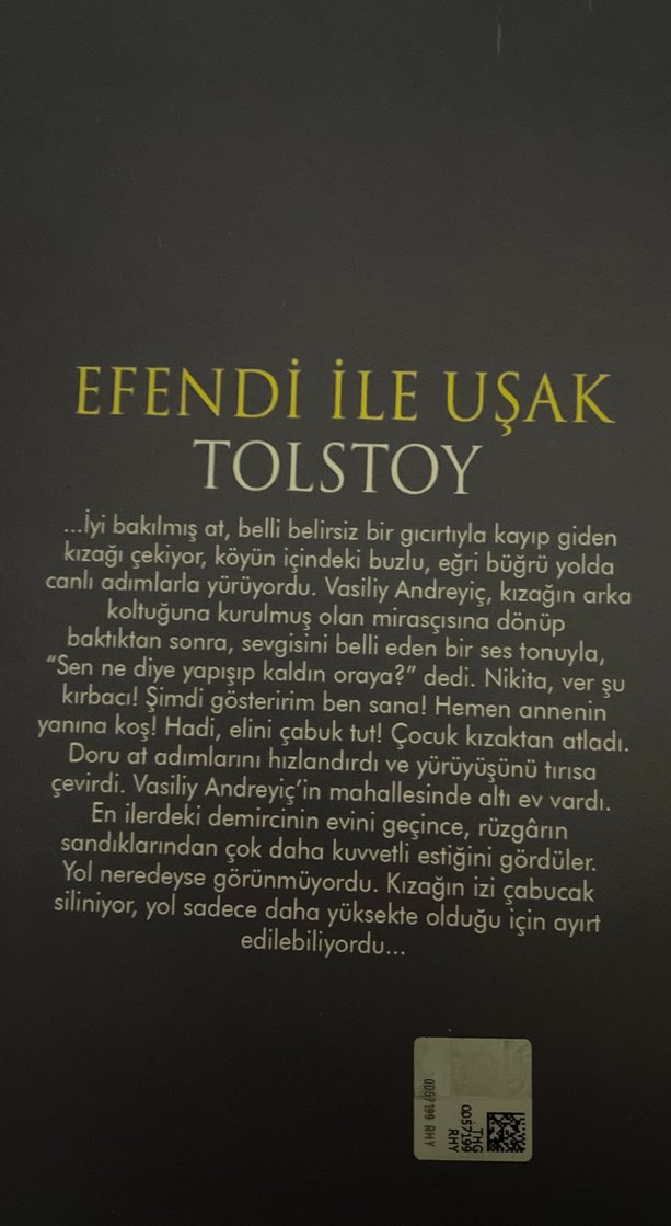 Tolstoy ve Goethe Klasikleri Seti - Görsel 3