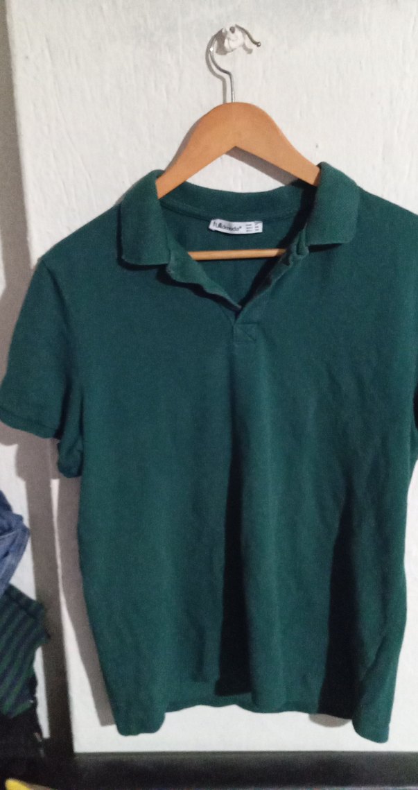 Fullamoda Yeşil Erkek Polo yaka Tişört - Görsel 2