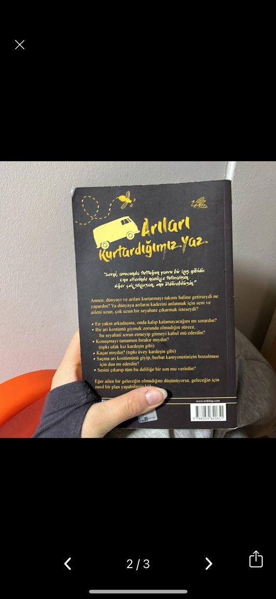 Arıları Kurtardığımız Yaz - Robin Stevenson - Görsel 2