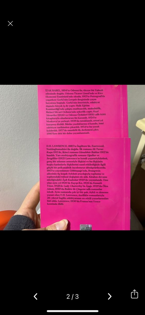 D.H. Lawrence - Gülümseme & İzak Babel - İlk Aşk Kitapları - Görsel 2