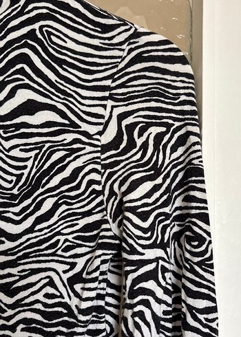 Gri Zebra Desenli Kürklü Kedi Kıyafeti - Görsel 4