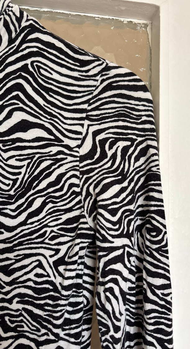 Gri Zebra Desenli Kürklü Kedi Kıyafeti - Görsel 4