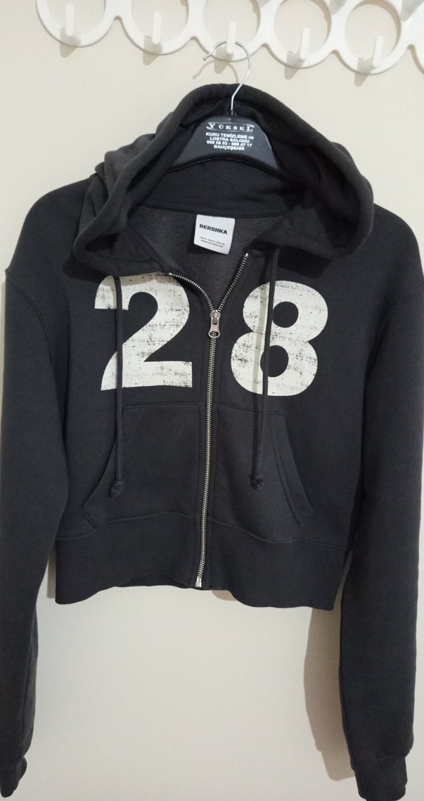 Kadın Gri Fermuarlı Baskılı Dar kesim Kapşonlu Sweatshirt - Görsel 4