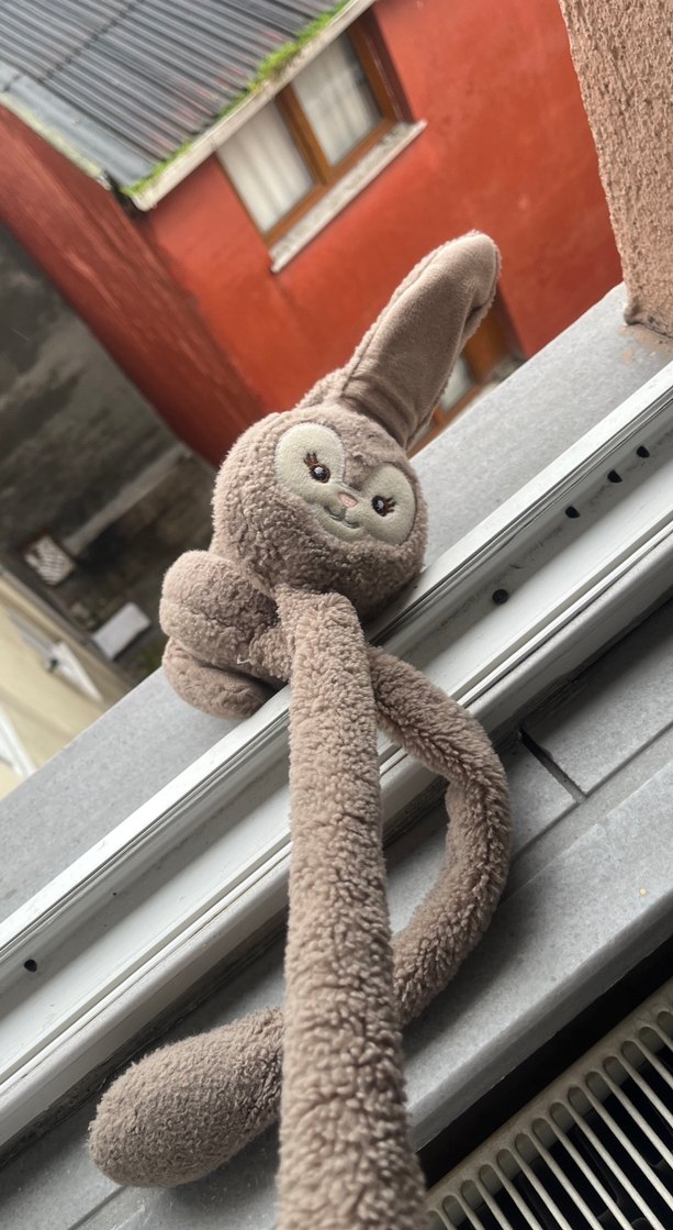 Uzun Kollu Kahverengi Peluş Oyuncak - Görsel 4