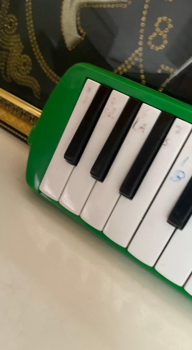 Yeşil Melodika Klavye - Görsel 2