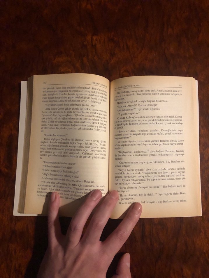 Pal Sokağı Çocukları - Molnar - Görsel 4