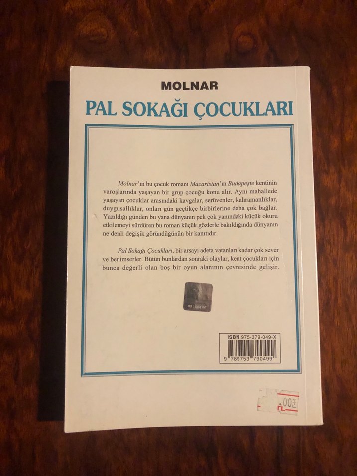 Pal Sokağı Çocukları - Molnar - Görsel 2