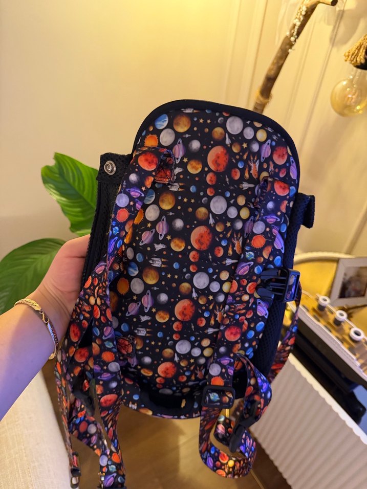 Çok Renkli köpek Taşıyıcı - Görsel 2