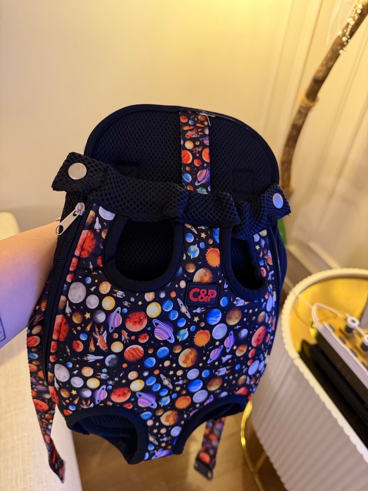 Çok Renkli köpek Taşıyıcı - Görsel 3