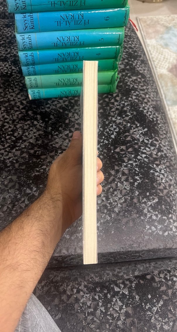 Fahrenheit 451 - Ray Bradbury - Görsel 3