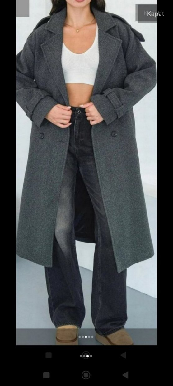 Gri Uzun Kaban - Görsel 3