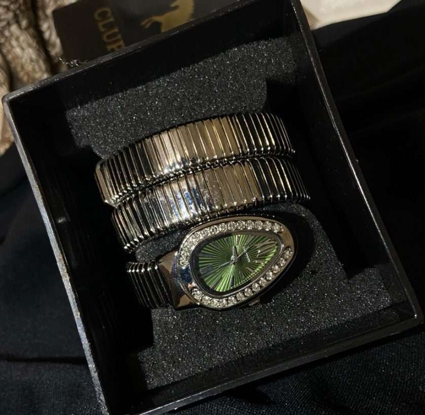 Yılan Model Silver saat - Görsel 2