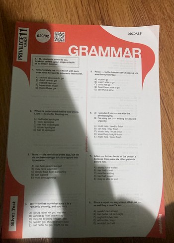 Privilege - Görsel 4