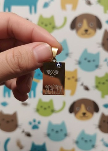 İsme Özel Kedi  Köpek Paslanmaz Çelik KolyeEvcil Hayvan İsimliği - Görsel 3