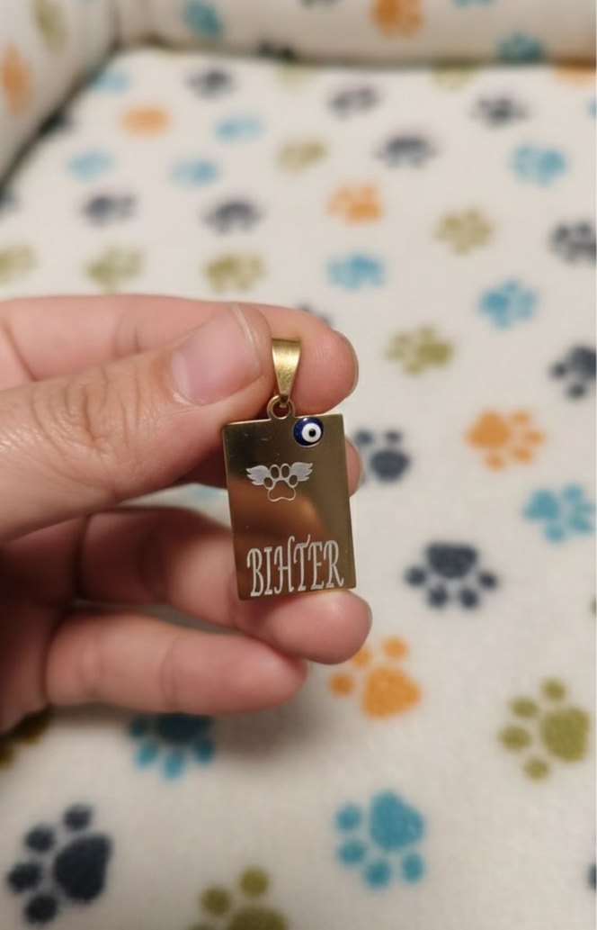 İsme Özel Kedi  Köpek Paslanmaz Çelik KolyeEvcil Hayvan İsimliği - Görsel 4