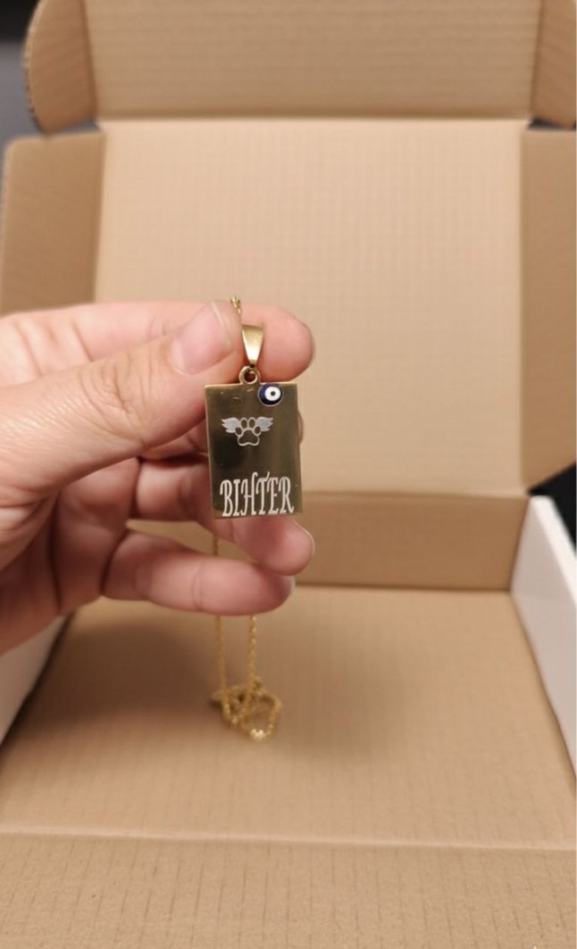 İsme Özel Kedi  Köpek Paslanmaz Çelik KolyeEvcil Hayvan İsimliği - Görsel 2