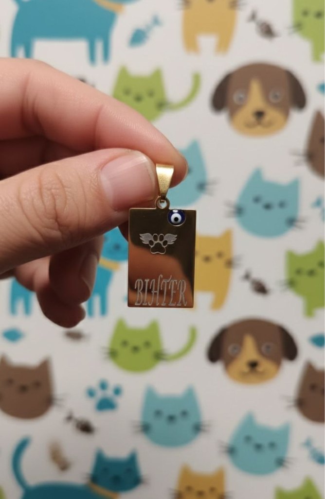 İsme Özel Kedi  Köpek Paslanmaz Çelik KolyeEvcil Hayvan İsimliği - Görsel 3