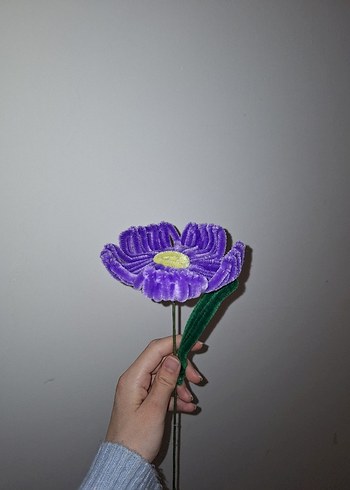 Mor Papatya - Görsel 3