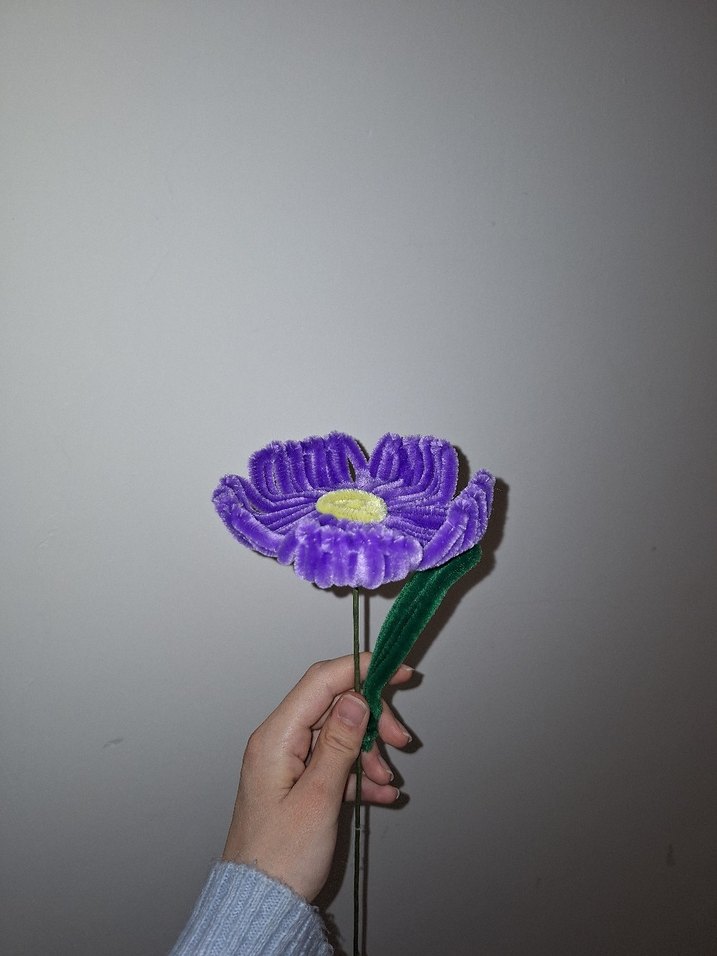 Mor Papatya - Görsel 3