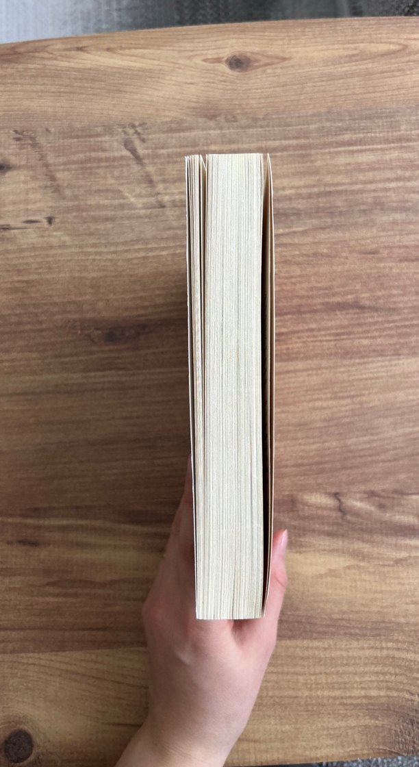 Sen Bir Başka Gittin - Liz Behmoaras - Görsel 3