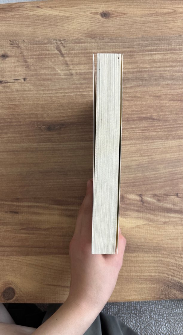 Saplantı - Beyzanur Yılmaz - Görsel 3