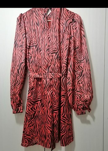 Renkli Zebra Desenli Kadın Uzun Kollu Elbise - Görsel 2