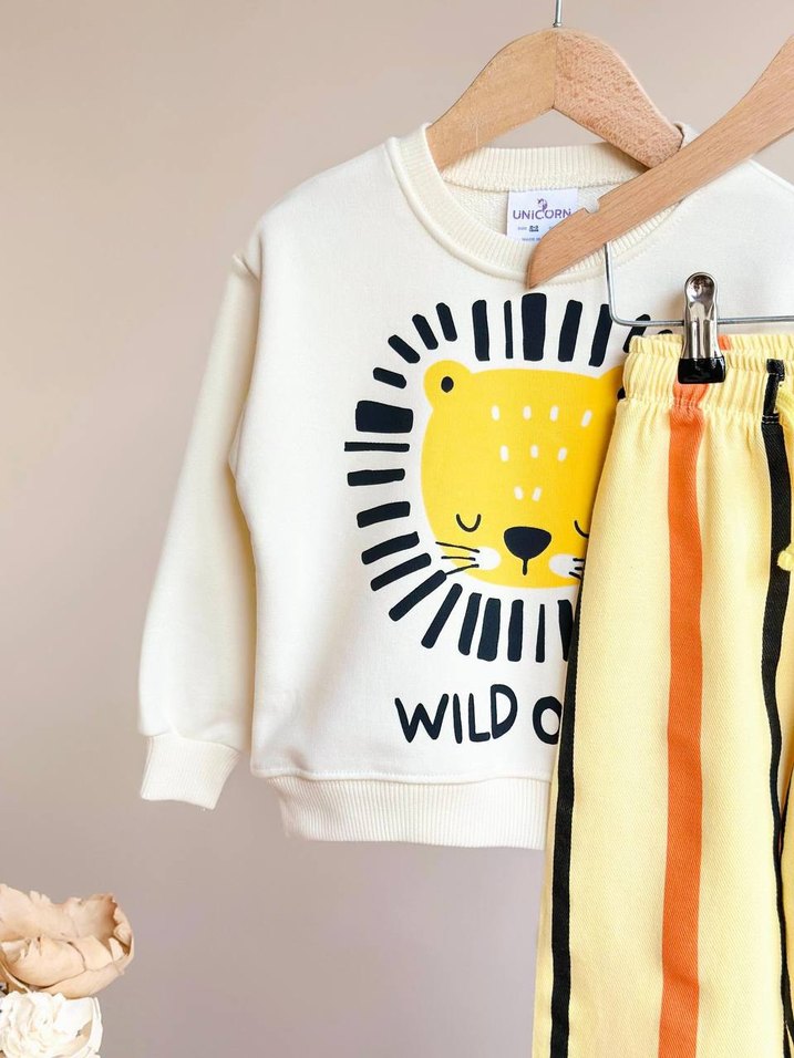 lion Takım - Görsel 2