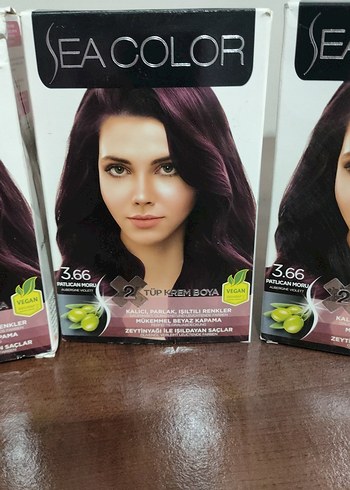SEACOLOR Saç Boyası 3.66 Patlıcan Moru Tonu - Görsel 2