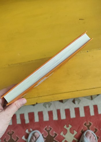 Saftirik Greg'in Günlüğü - Bende Bu Şans Varken - Görsel 3