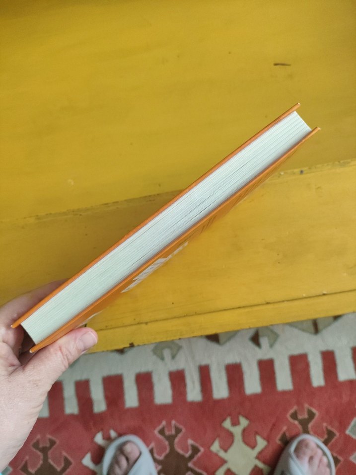 Saftirik Greg'in Günlüğü - Bende Bu Şans Varken - Görsel 3