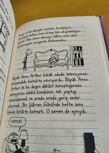 Saftirik Greg'in Günlüğü - Ama Bu Haksızlık! - Görsel 5