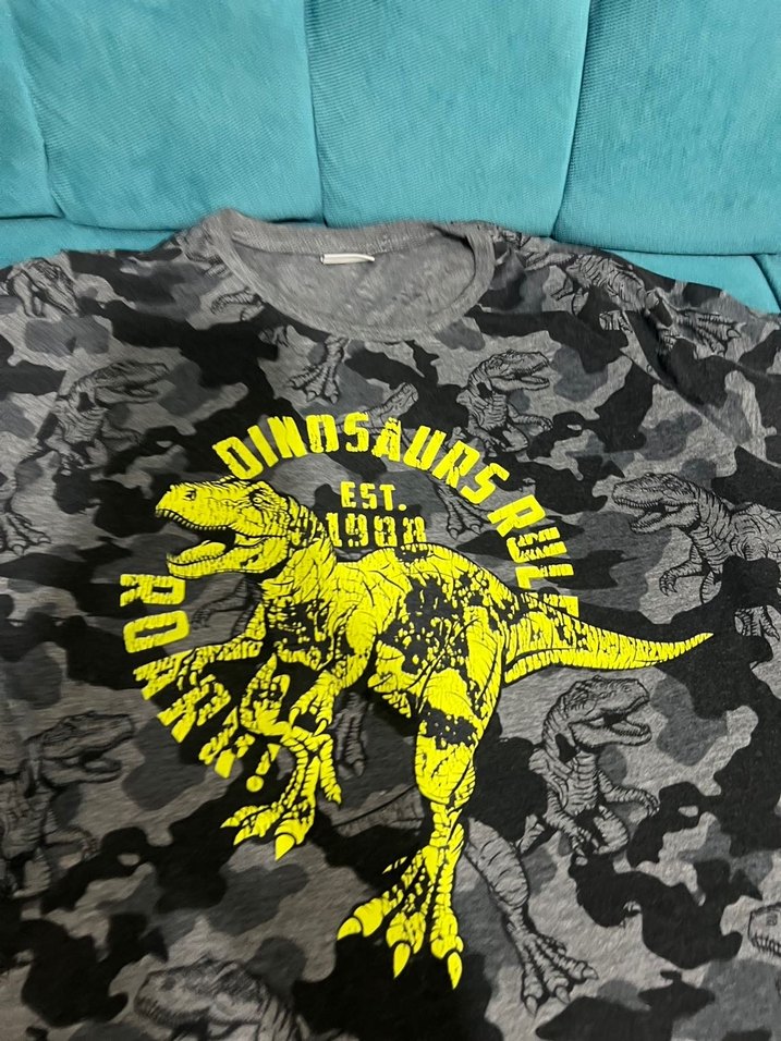 Gri Baskılı Dinozor Desenli Erkek Tişört - Görsel 2