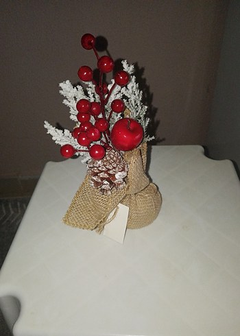 Kokina Cicegi - Görsel 3