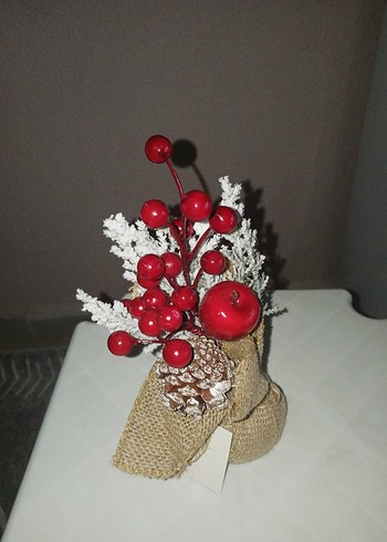 Kokina Cicegi - Görsel 2