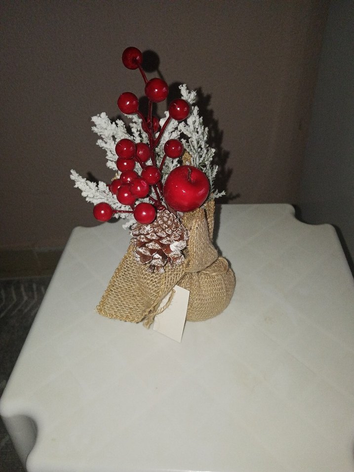 Kokina Cicegi - Görsel 3