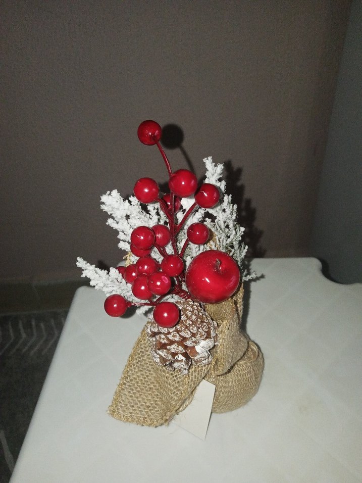 Kokina Cicegi - Görsel 2