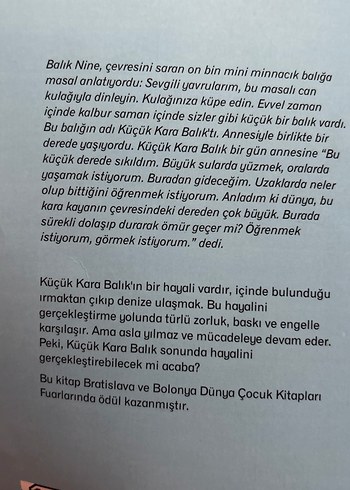 Küçük Kara Balık ve İnandırıcı Hikaye Kitapları - Görsel 3