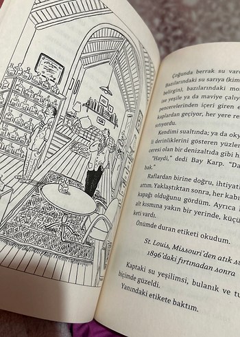 Şapkada Eriyen Bay Karp - Çocuk Kitabı - Görsel 4