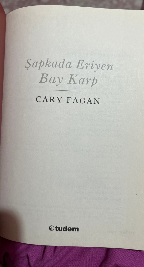 Şapkada Eriyen Bay Karp - Çocuk Kitabı - Görsel 3