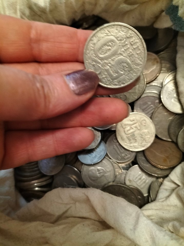 100 Kuruş Türk Parası Madeni Para - Görsel 3