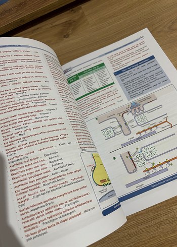 DUS Hızlı Tekrar Klinik ve Temel Bilimler 2. Bası - Görsel 3