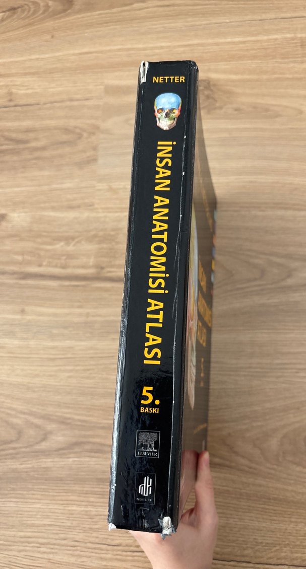 İnsan Anatomisi Atlası 5. Baskı - Frank H. Netter - Görsel 4