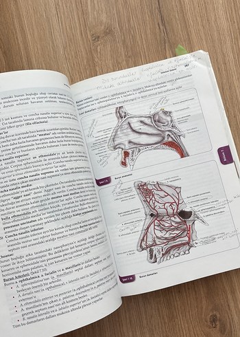 Her Yönüyle Anatomi Kitabı Prof. Dr. Yasin Arifoğlu - Görsel 4