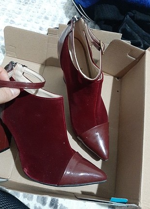 Bordo suet bot