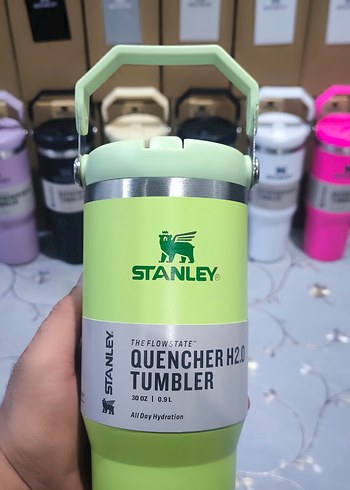 Stanley Yeşil Renkli Termos Matara - Görsel 3