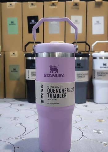 Stanley Mor Çocuk Termos 887 ml - Görsel 4