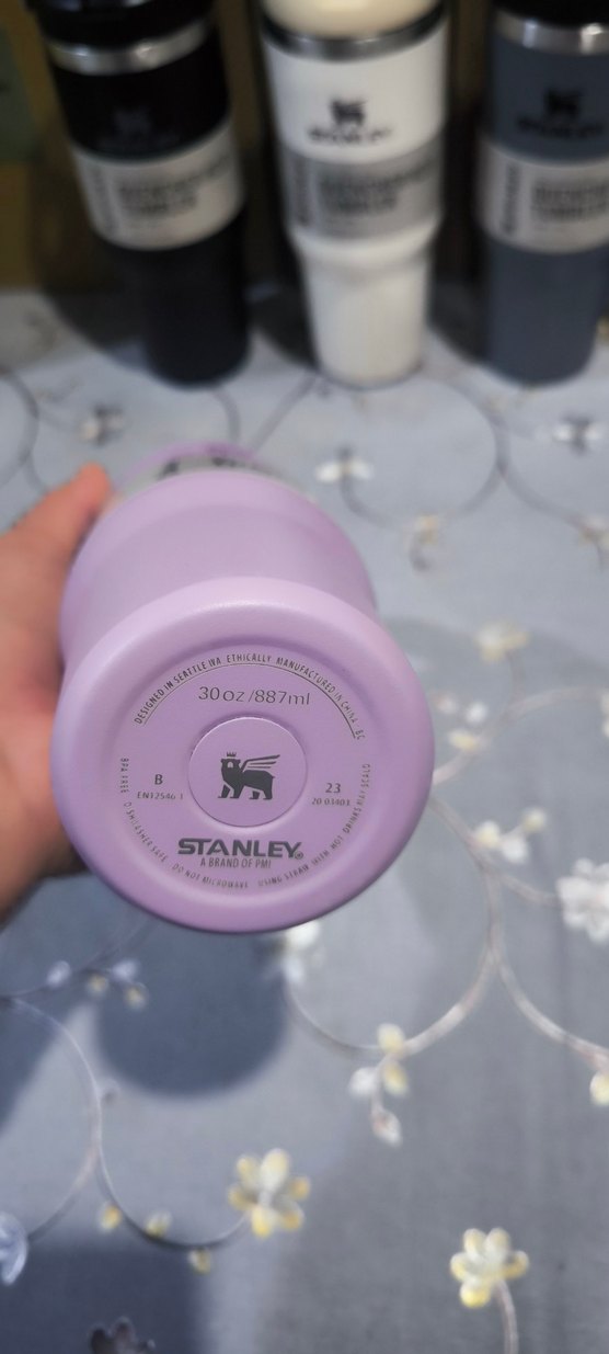 Stanley Mor Çocuk Termos 887 ml - Görsel 3