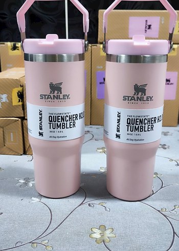 Stanley Pembe Çocuk Termos Matara - Görsel 5