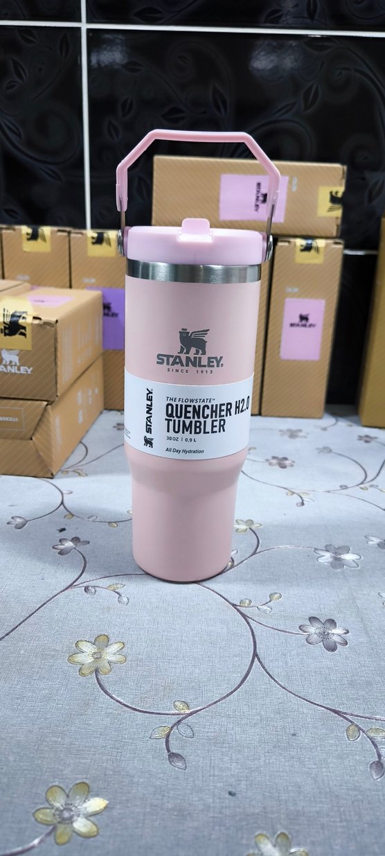 Stanley Pembe Çocuk Termos Matara - Görsel 4